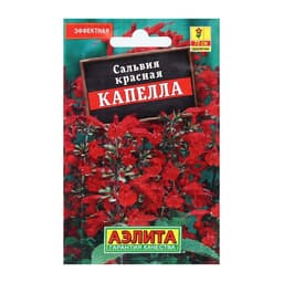 Семена цветов Сальвия красная «Капелла», 0.1 г