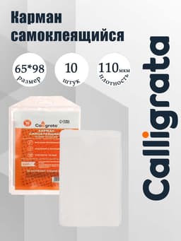 Карман самоклеящийся 65×98 мм, комплект 10 штук, для визитных карточек Calligrata, 110 мкм