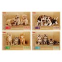 Альбом для рисования А4, 32 листа, на гребне, «Зверьё моё», обложка картон, блок 100 г/м², перфорация на отрыв, МИКС