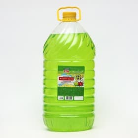 Мыло жидкое TITAN «Киви», 5 л