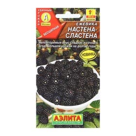 Семена Ежевика «Настена-сластена», 15 шт., бесшипная, «Аэлита»