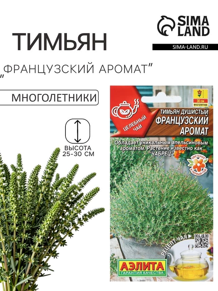 Семена Тимьян «Французский аромат», серия «целебный чай», 10 шт., «АЭЛИТА»