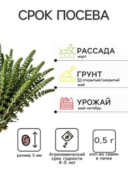 Семена Тимьян «Французский аромат», серия «целебный чай», 10 шт., «АЭЛИТА»