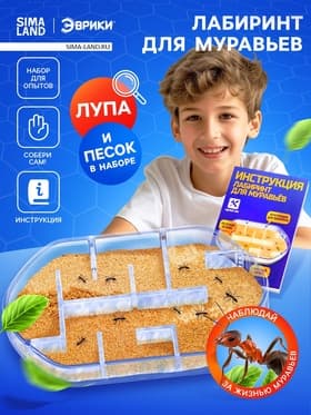 Набор для опытов «Лабиринт для муравьёв»