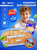 Набор для опытов «Лабиринт для муравьёв»