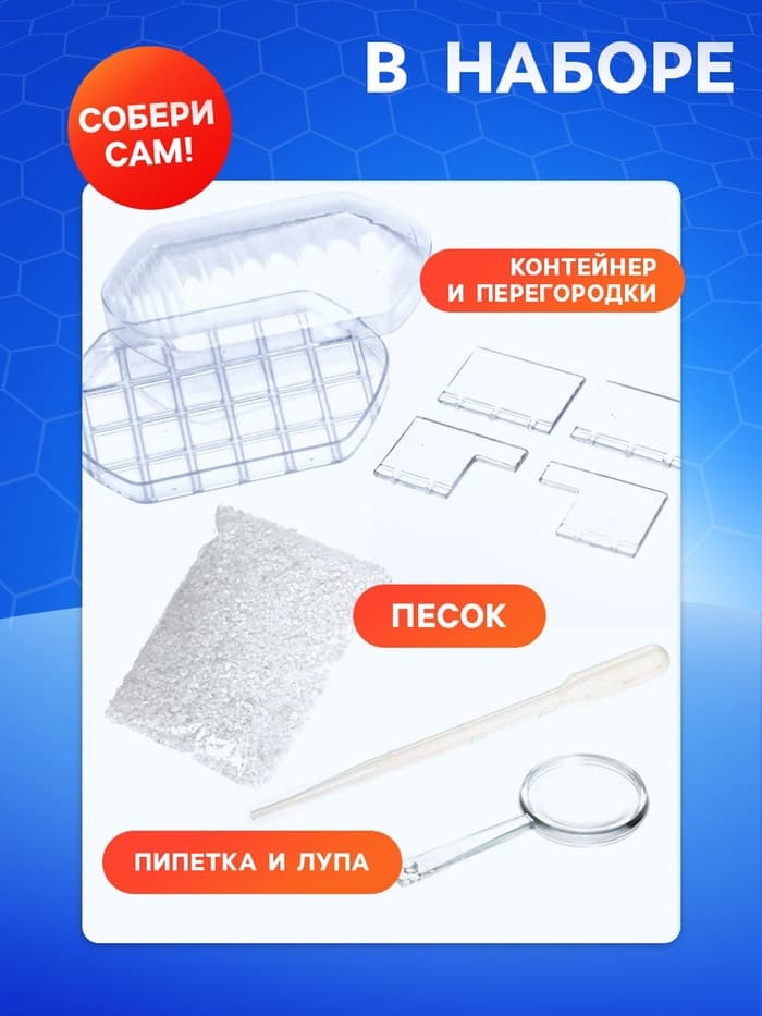 Набор для опытов «Лабиринт для муравьёв»