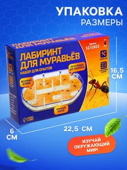 Набор для опытов «Лабиринт для муравьёв»