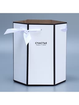 Коробка - переноска подарочная для цветов «Счастье», 17×14.8×19.5 см, шестигранник