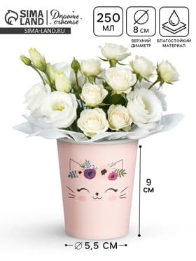 Стакан для цветов «Котик», 250 мл