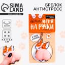 Брелок мялка антистресс «Возьми меня на ручки» 4.6×7 см