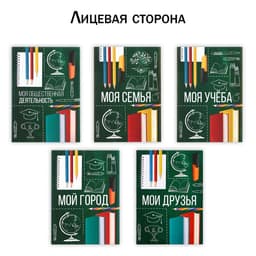 Папка школьная с креплением «Портфолио школьника», 10 листов-разделителей, 21.5×30 см