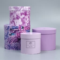 Набор коробок для цветов 4 в 1, упаковка подарочная, «Лаванда», 14×14×13 см - 20×20×17.5 см