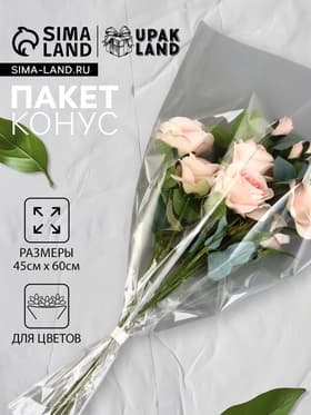 Пакет для цветов, конус, 12+45×60 см, прозрачный