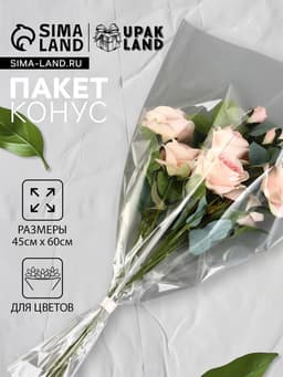 Пакет для цветов, конус, 12+45×60 см, прозрачный
