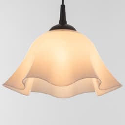 Люстра «Ирис» 1×15 Вт Е27 МОДЕЛЬ: BR=00260 черный/белый 28×28×14 см