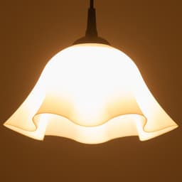 Люстра «Ирис» 1×15 Вт Е27 МОДЕЛЬ: BR=00260 черный/белый 28×28×14 см