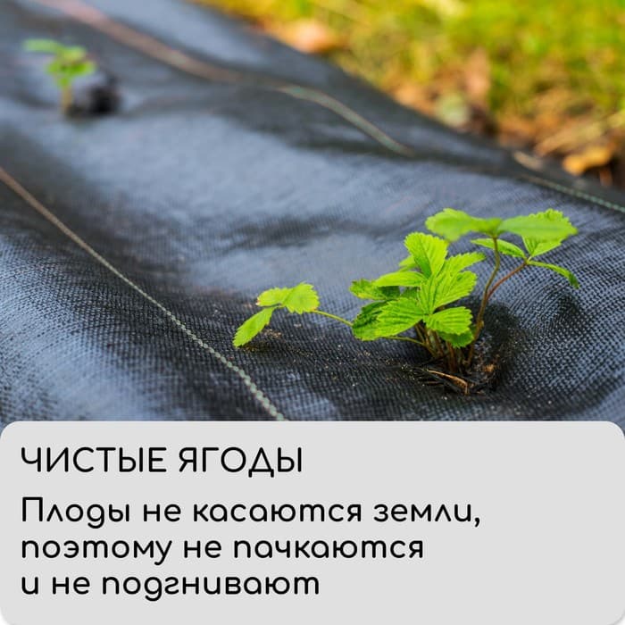 Агроткань застилочная, с разметкой, 5×3.2 м, плотность 100 г/м², полипропилен, Greengo, Эконом 50%