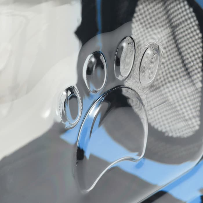 Переноска для животных, 42×32×28 см, прозрачная, голубая