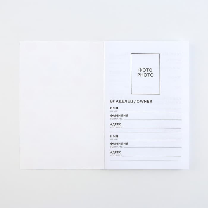 Ветеринарный паспорт международный «Рыжий кот»