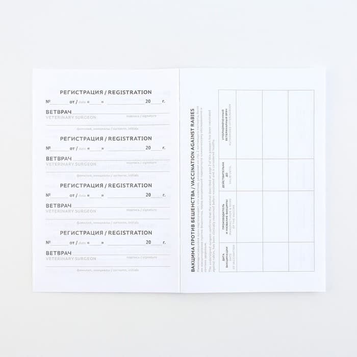 Ветеринарный паспорт международный «Рыжий кот»