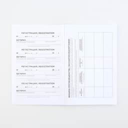 Ветеринарный паспорт международный «Рыжий кот»