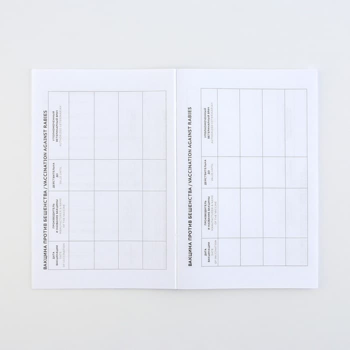 Ветеринарный паспорт международный «Рыжий кот»