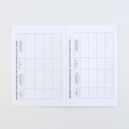 Ветеринарный паспорт международный «Рыжий кот»