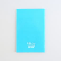 Ветеринарный паспорт международный «Рыжий кот»