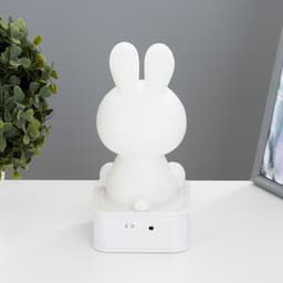 Фигурка светящаяся RISALUX «Зайчик», LED-ночник, от USB или батареек 4×АА, белый, 9×9×19 см