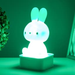 Фигурка светящаяся RISALUX «Зайчик», LED-ночник, от USB или батареек 4×АА, белый, 9×9×19 см