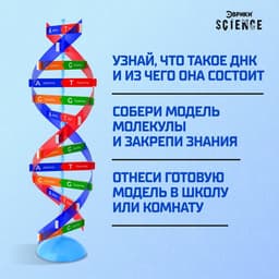 Набор для опытов «Молекула ДНК»