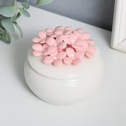 Шкатулка для украшений «Незабудки», керамика, 9×9×7.5 см, МИКС