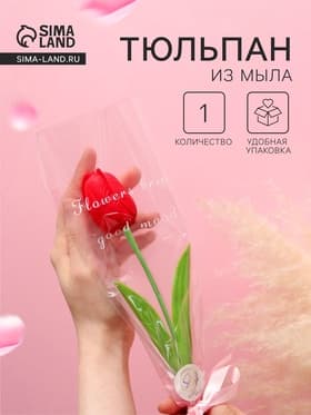 Мыльный тюльпан, красный