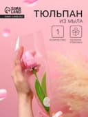 Мыльный тюльпан, розовый