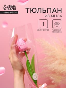 Мыльный тюльпан, розовый