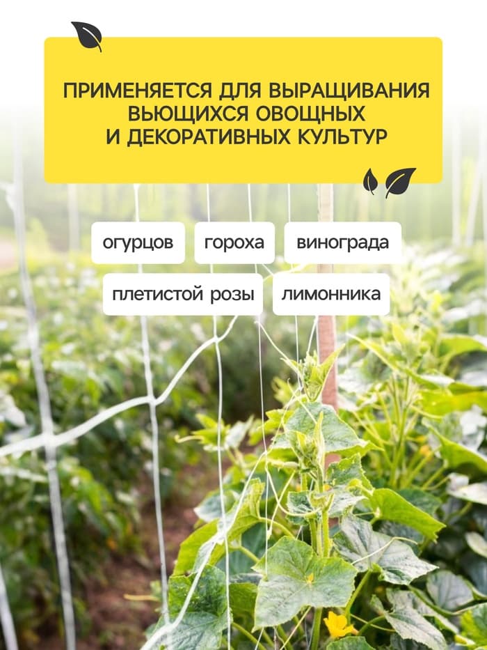 Сетка садовая для огурцов, шпалерная, 10×2 м, ячейка 15×15 см, Greengo