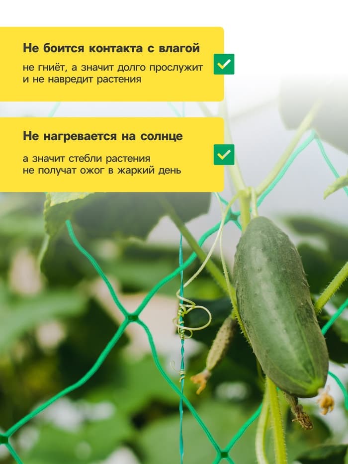Сетка садовая для огурцов, шпалерная, 10×2 м, ячейка 15×15 см, Greengo