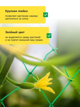 Сетка садовая для огурцов, шпалерная, 10×2 м, ячейка 15×15 см, Greengo