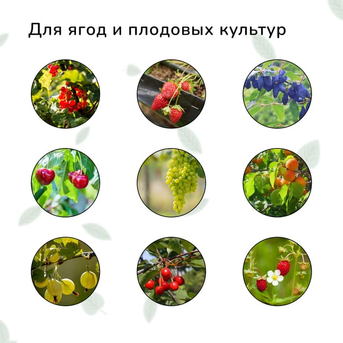 Сетка садовая, мягкая, 10×2 м, ячейка 8×8 мм, от птиц, Greengo