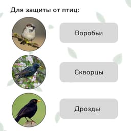 Сетка садовая, мягкая, 10×2 м, ячейка 8×8 мм, от птиц, Greengo