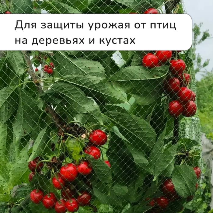Сетка садовая, мягкая, 10×2 м, ячейка 8×8 мм, от птиц, Greengo