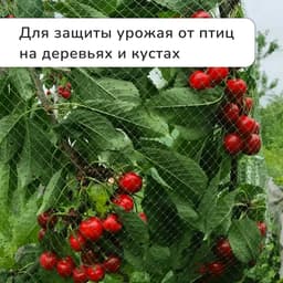 Сетка садовая, мягкая, 10×2 м, ячейка 8×8 мм, от птиц, Greengo