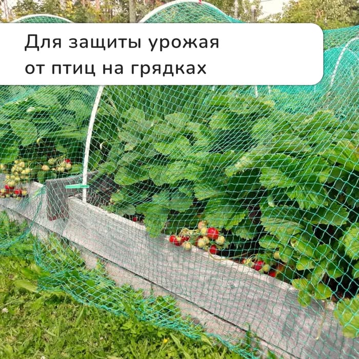 Сетка садовая, мягкая, 10×2 м, ячейка 8×8 мм, от птиц, Greengo