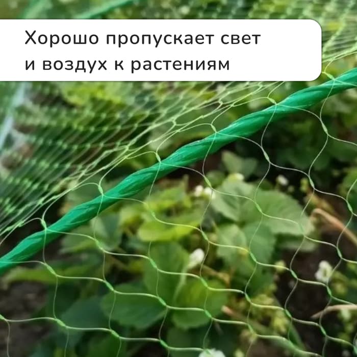 Сетка садовая, мягкая, 10×2 м, ячейка 8×8 мм, от птиц, Greengo