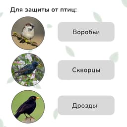 Сетка садовая, мягкая, 5×2 м, ячейка 15×15 мм, от птиц, Greengo