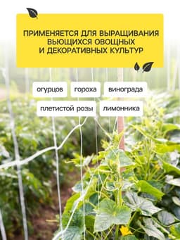 Сетка садовая для огурцов, шпалерная, 5×2 м, ячейка 15×15 см, Greengo