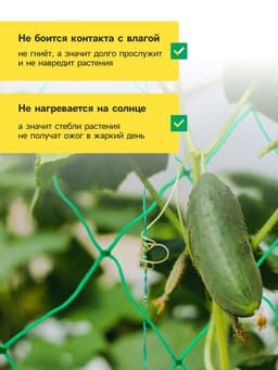 Сетка садовая для огурцов, шпалерная, 5×2 м, ячейка 15×15 см, Greengo