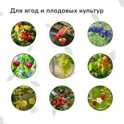 Сетка садовая, мягкая, 10×4 м, ячейка 15×15 мм, от птиц, Greengo