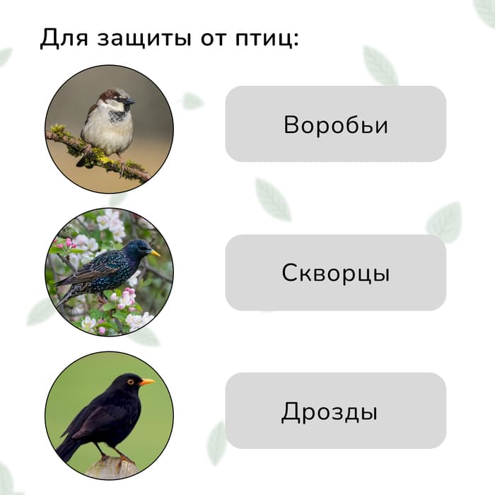 Сетка садовая, мягкая, 5×4 м, ячейка 15×15 мм, от птиц, Greengo