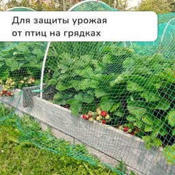 Сетка садовая, мягкая, 5×4 м, ячейка 15×15 мм, от птиц, Greengo